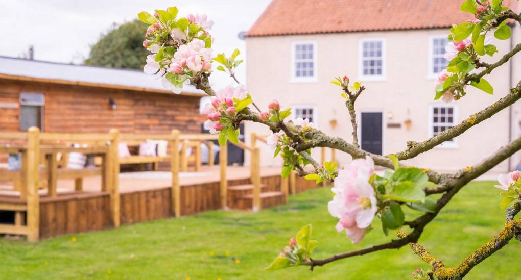 Garden view of the house and party lodge