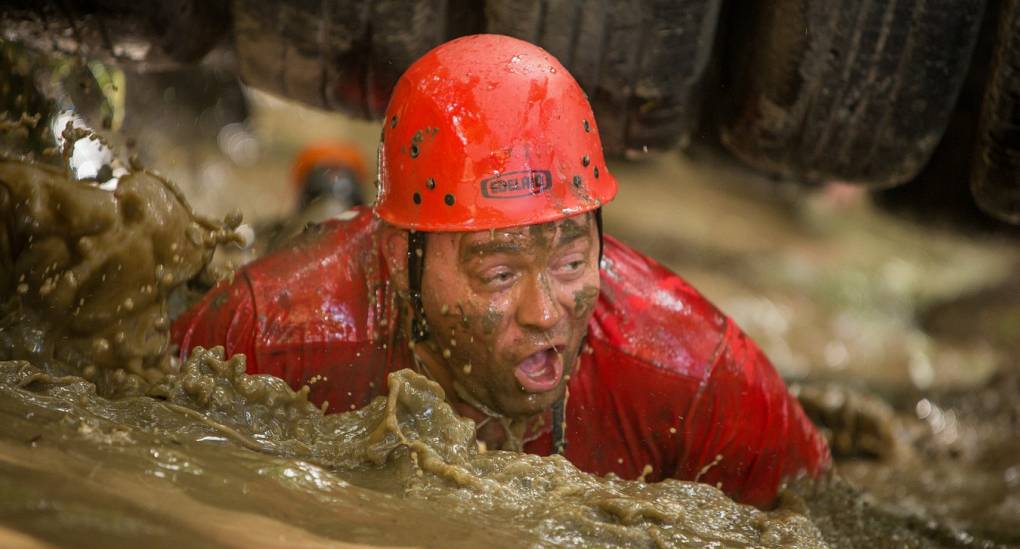 Stag tackling a challenging obstacle