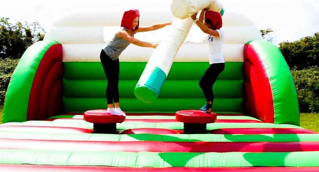 Two hens battle it out to top the leaderboard