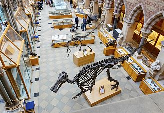 Free and Cheap things to do on your Oxford Hen Do